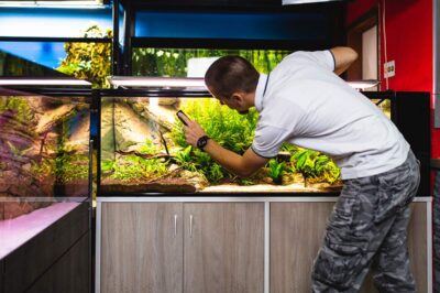 DIY Aquarium Leak Repair: Best Method & Simple Tips